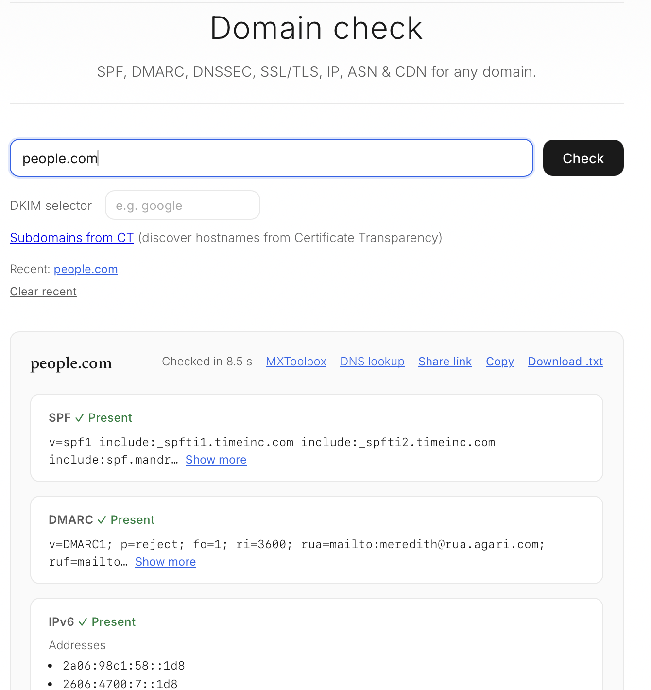 Screenshot of the domain and DNS check tool